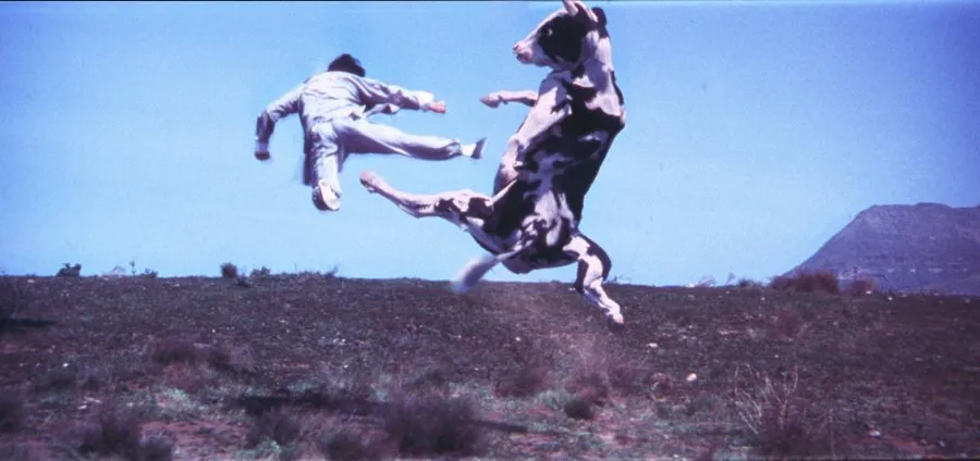 Кадр из фильма Кунг По: Нарвись на кулак