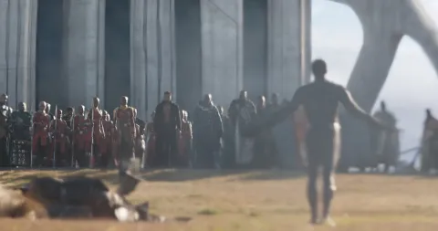 Кадр из фильма Чёрная Пантера