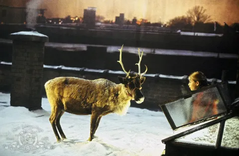 Кадр из фильма Близзард