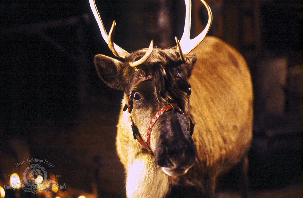 Кадр из фильма Близзард