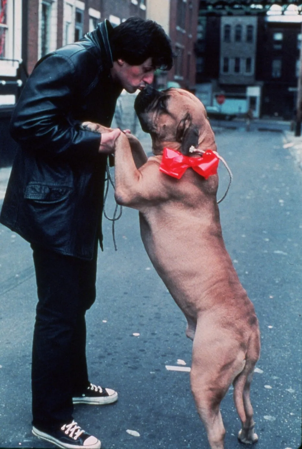 Кадр из фильма Рокки