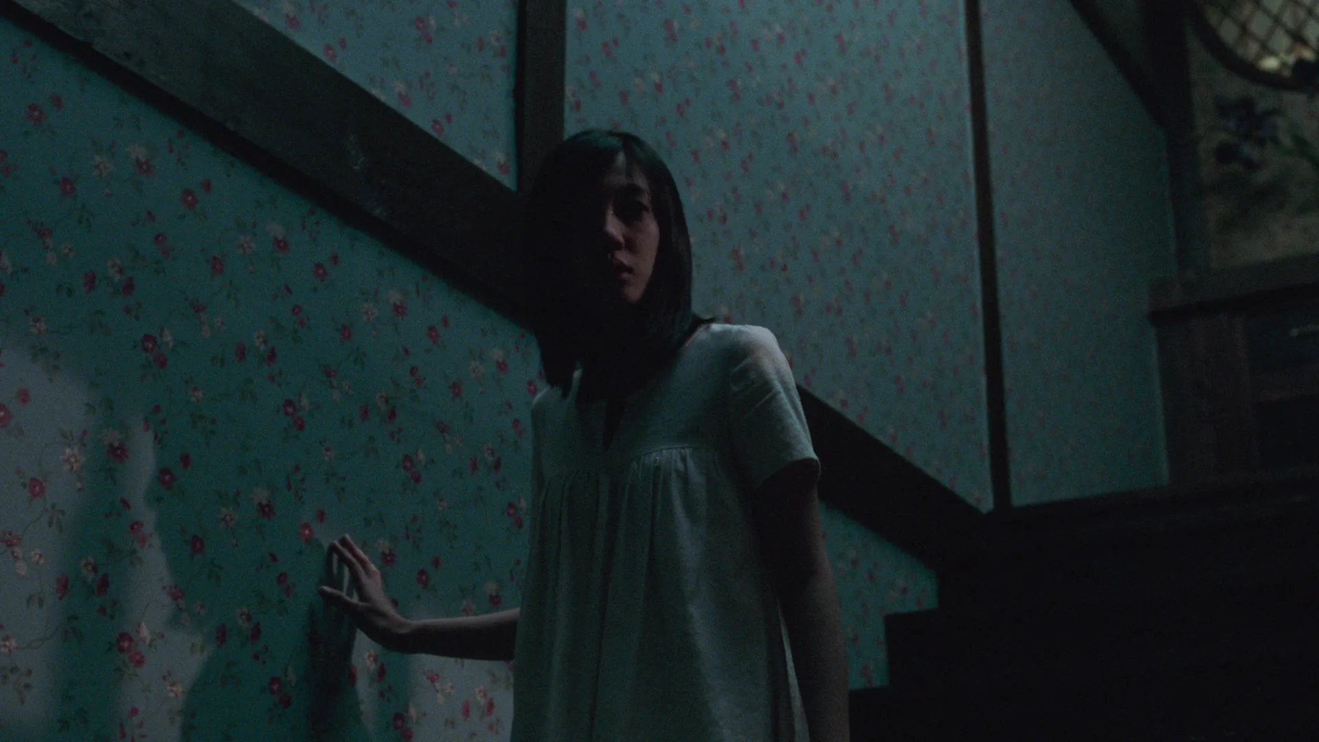 Кадр из фильма История двух сестёр