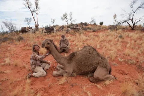 Кадр из фильма Тропы