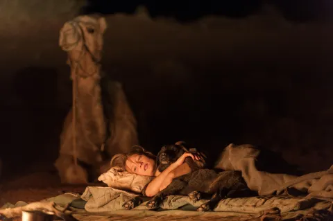 Кадр из фильма Тропы