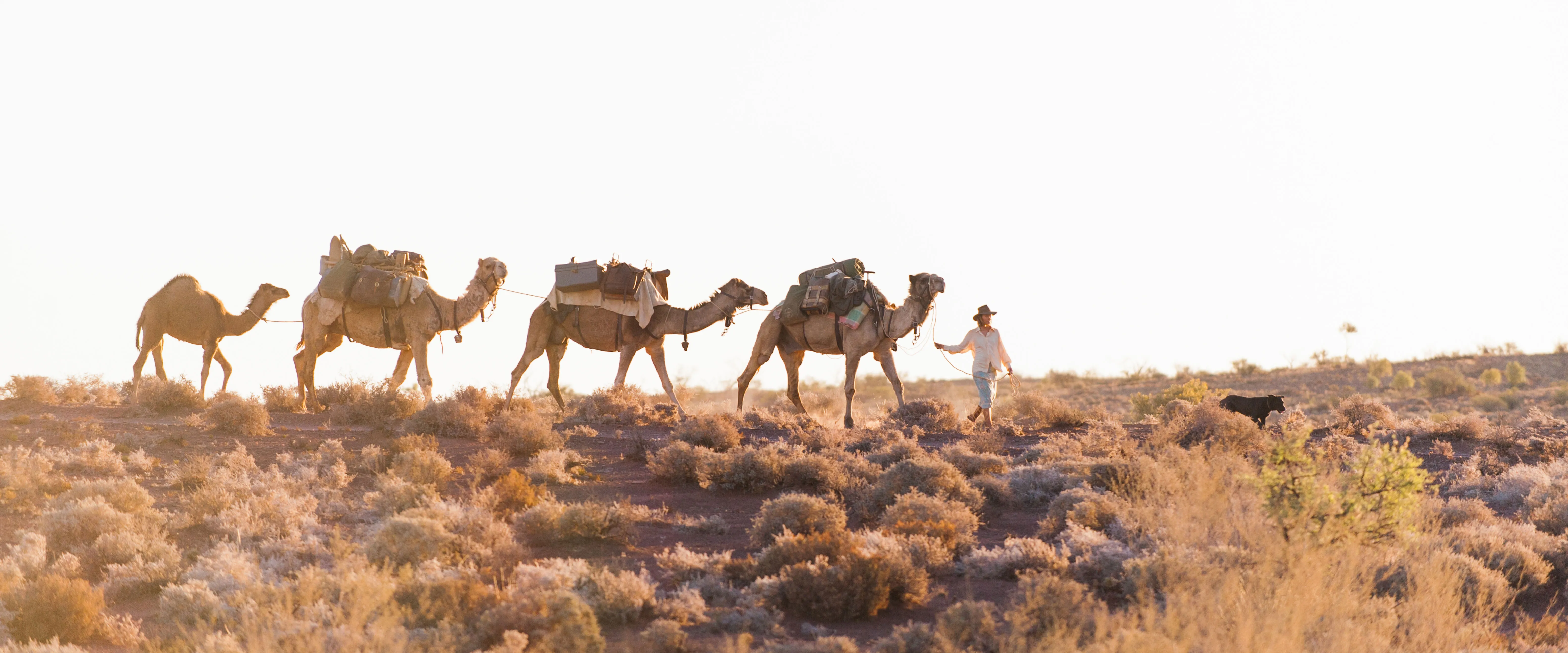 Кадр из фильма Тропы