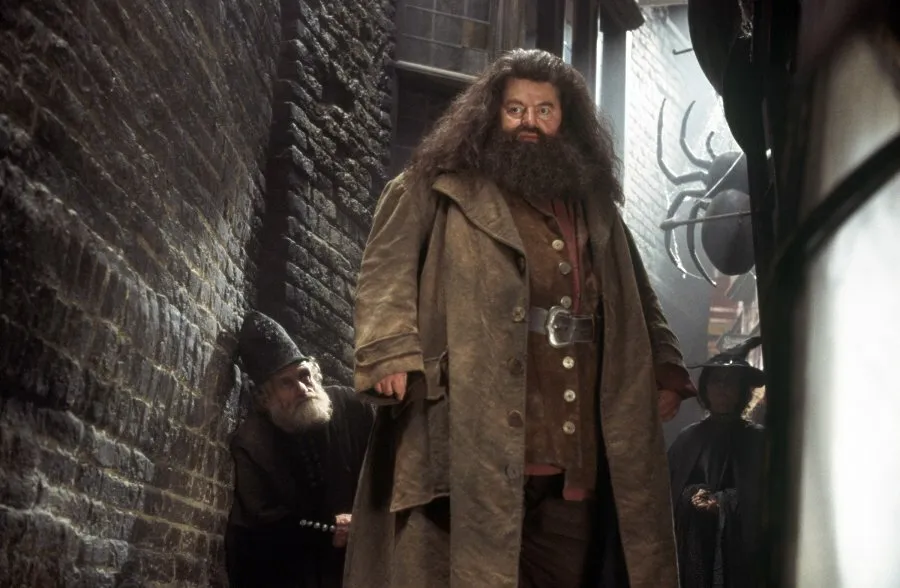 Кадр из фильма Гарри Поттер и Тайная комната