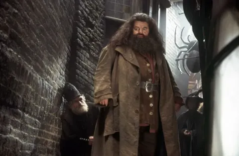 Кадр из фильма Гарри Поттер и Тайная комната