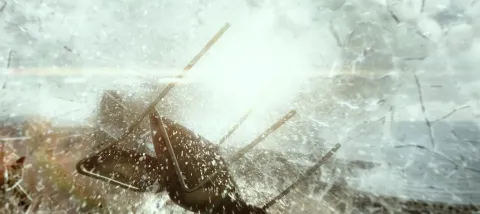 Кадр из фильма Эпидемия