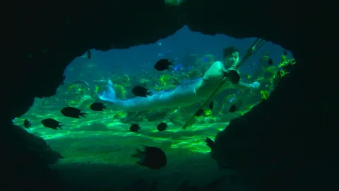 Кадр из фильма Тайны острова Мако