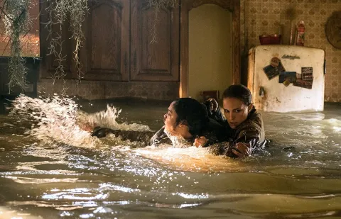 Кадр из фильма Аннигиляция