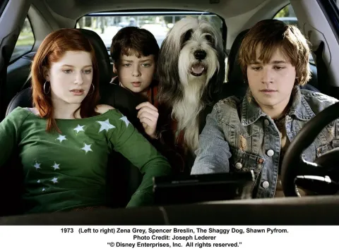 Кадр из фильма Лохматый папа