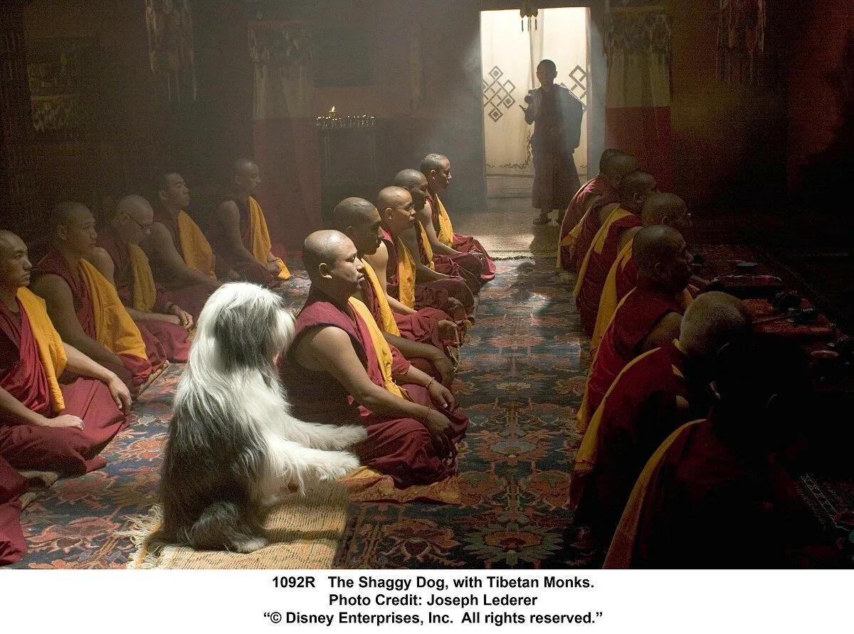 Кадр из фильма Лохматый папа