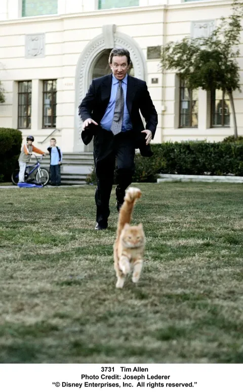 Кадр из фильма Лохматый папа