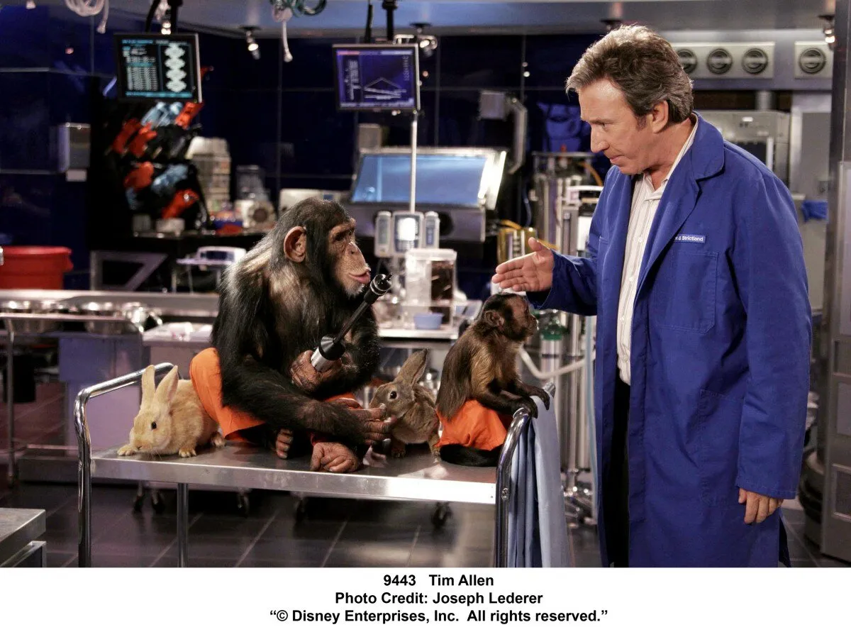 Кадр из фильма Лохматый папа