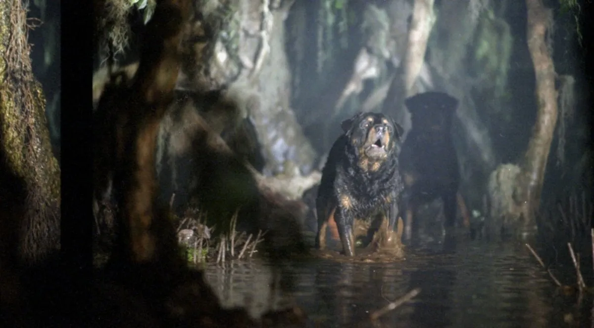 Кадр из фильма Леший