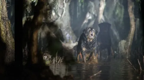 Кадр из фильма Леший