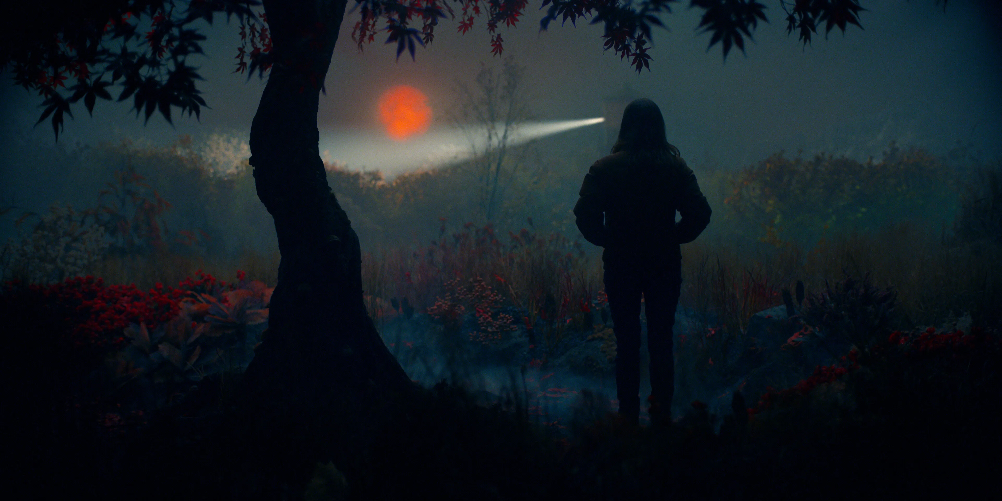 Кадр из фильма История Лизи