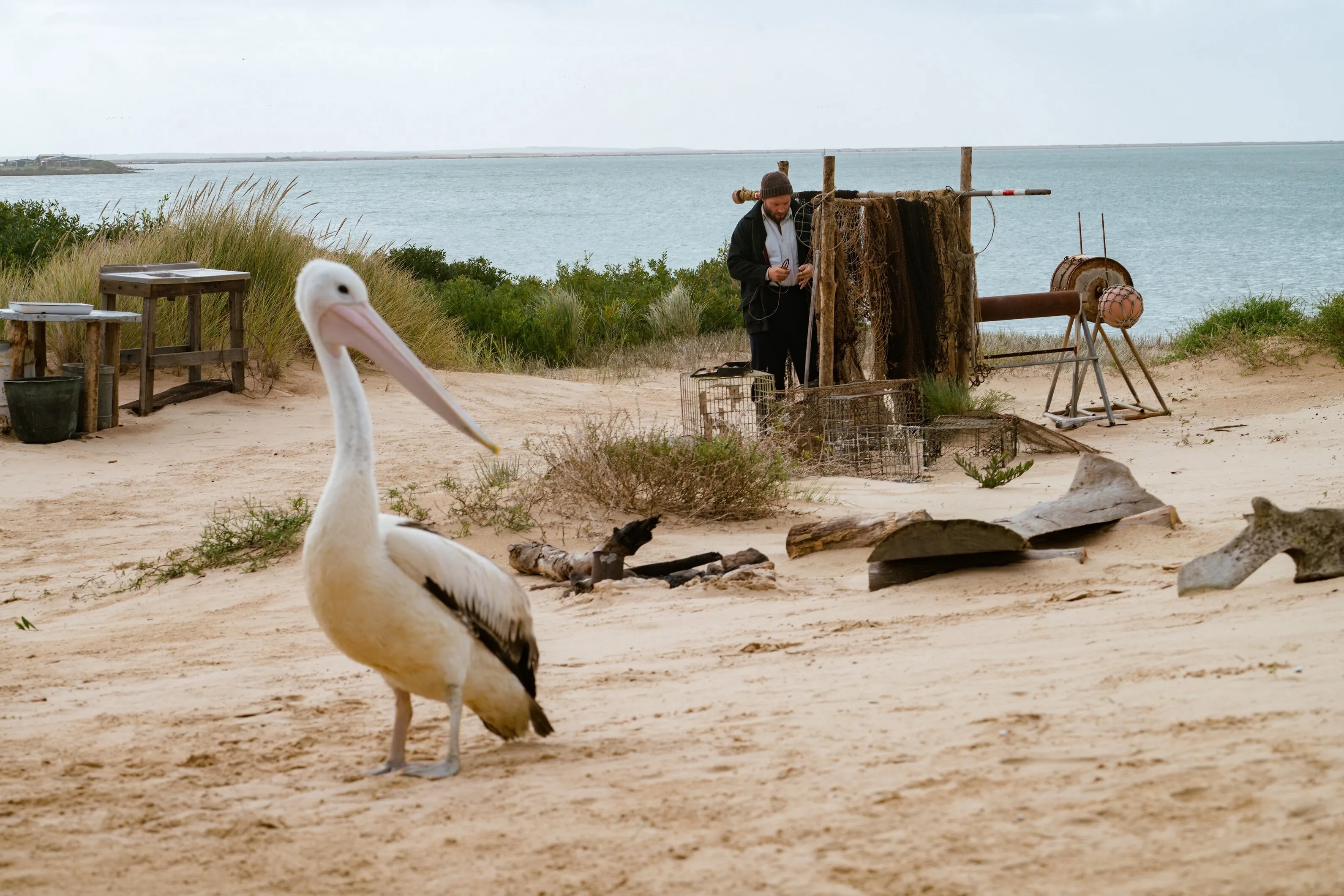 Кадр из фильма Мой друг мистер Персиваль