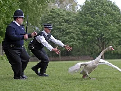 Кадр из фильма Типа крутые легавые