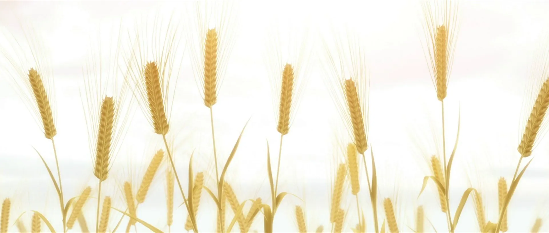 Кадр из фильма Истории ран. Часть 2: Горячая кровь