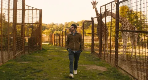 Кадр из фильма Любовь и прочий зоопарк