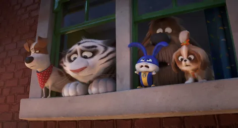 Кадр из фильма Тайная жизнь домашних животных 2