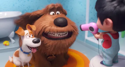 Кадр из фильма Тайная жизнь домашних животных 2