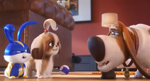 Кадр из фильма Тайная жизнь домашних животных 2